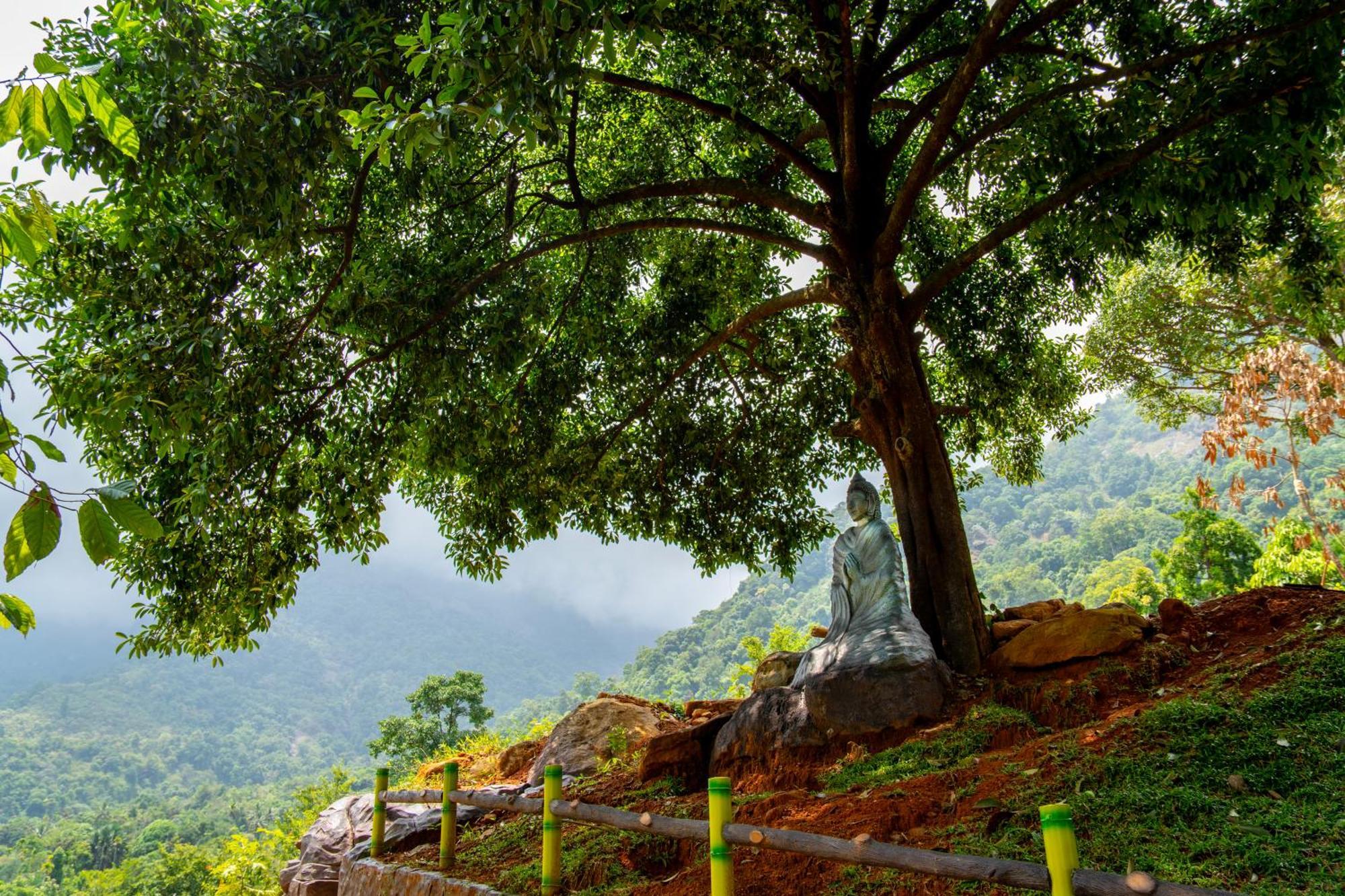 Karimb Resorts Vallikavungal Dış mekan fotoğraf